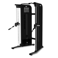 Двойная регулируемая тяга BRONZE GYM NEO 17